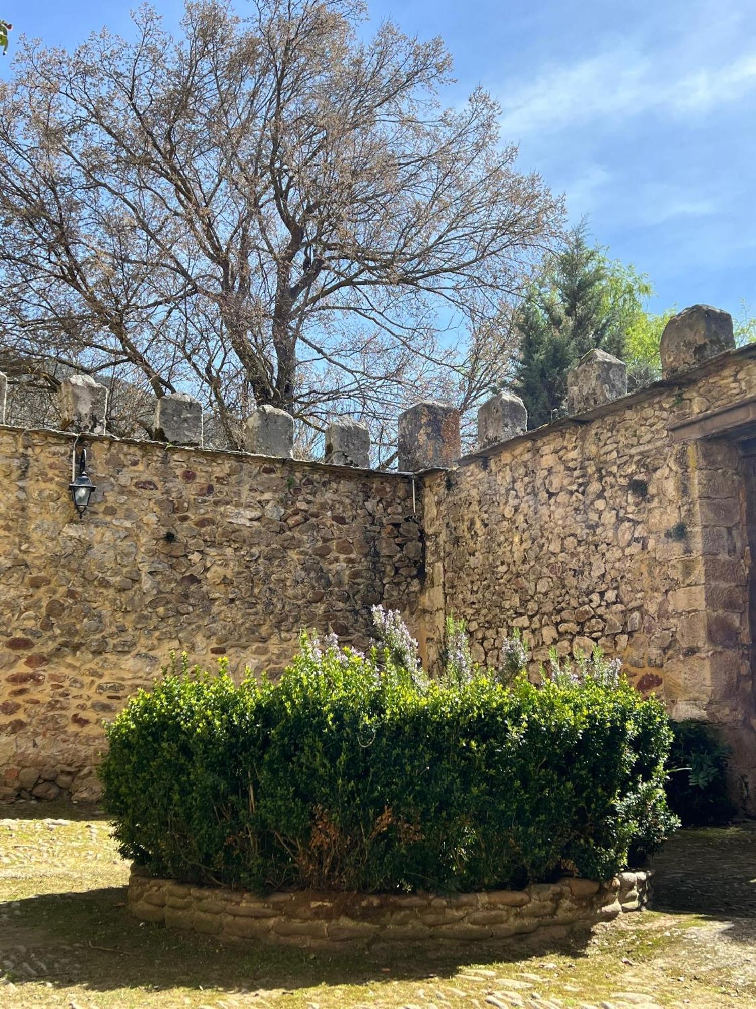 Palacio De Los Alvarado En Las Merindades El Ribero エクステリア 写真